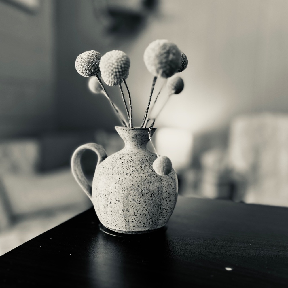 Meet your Posher, Alycia